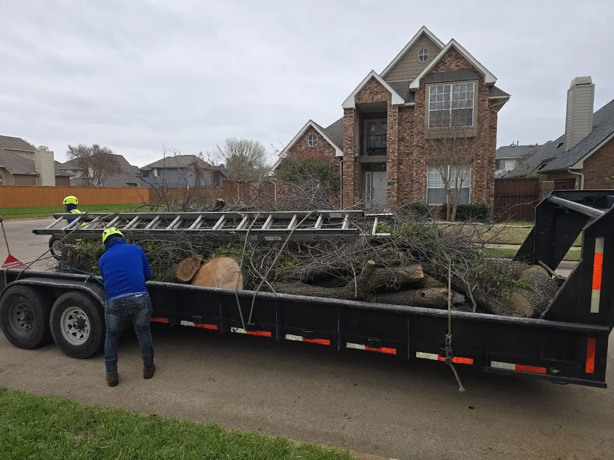 Expert Lot Clearing with proper safety equipment in Libertytown